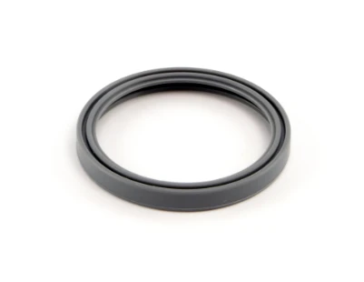 DENALI DR1 Replacement  Waterproofing Gaskets for Lens (Single)