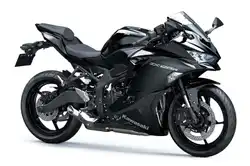 Kawasaki ZX-25R