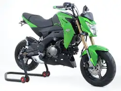 Kawasaki Z125 PRO