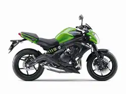Kawasaki ER6-N (Naked)